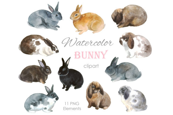 Download Watercolor Bunny Clipart. Easter Bunny - Premium Resources